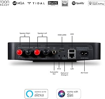 Amazon.com: Bluesound POWERNODE Edge Compact Wireless Multi-Room